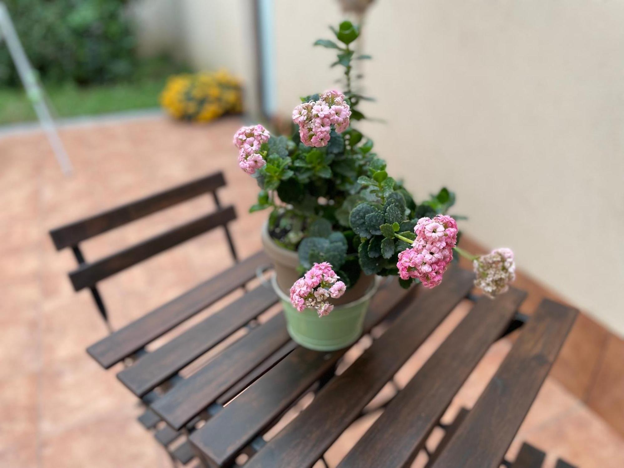 Apartament Il Borghetto Di Gigi Katania Zewnętrze zdjęcie